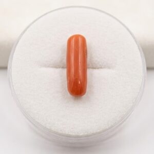 MASHADDI MARJAN ( Red Coral 🪸)