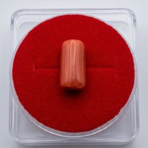 MASHADDI MARJAN ( Red Coral 🪸)