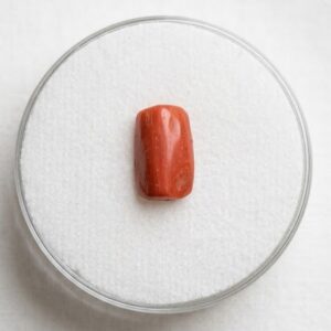 RED MARJAN (Red Coral)