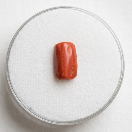 RED MARJAN (Red Coral)