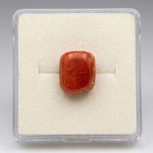 MASHADDI MARJAN (Red Coral)