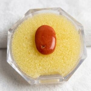 RED MARJAN (Red Coral)